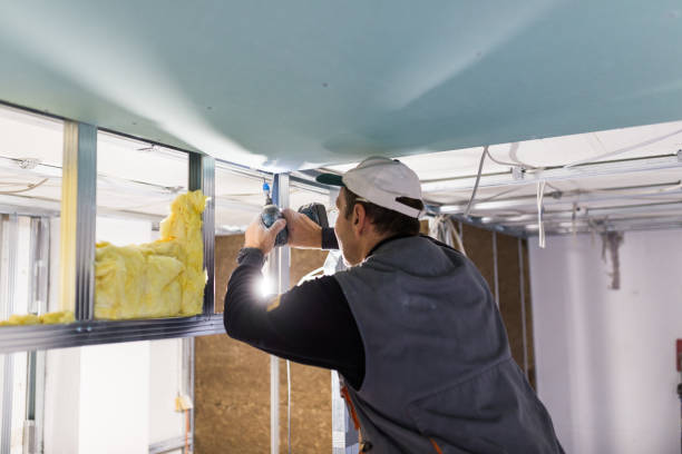 Best Residential Insulation in Lewistown, IL