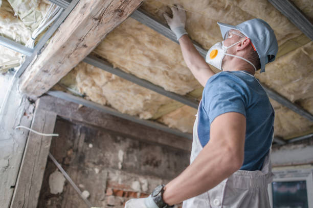Best Fiberglass Insulation in Lewistown, IL